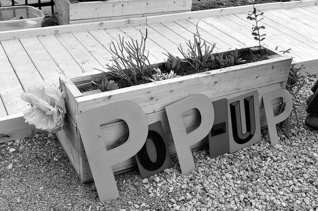 A new, temporary Pop-up Park gave Renton residents visiting the local farmers market a place to rest, or play, for a short-time.                                Photo by Haley Ausbun.
