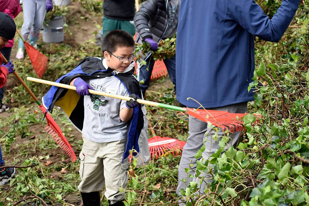 Photo by Haley Ausbun. Renton students learned about the salmon habitat and helped protect it, as part of a World Water Monitoring Day event, Sept. 18 at Renton Community Center.