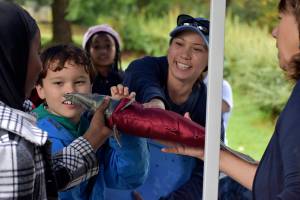 Photo by Haley Ausbun. Renton students learned about the salmon habitat and helped protect it, as part of a World Water Monitoring Day event, Sept. 18 at Renton Community Center.
