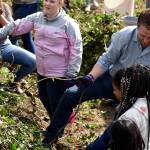 Renton’s little salmon scientists