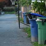 Mayor wants to reexamine trash services