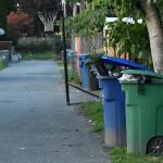 Mayor wants to reexamine trash services