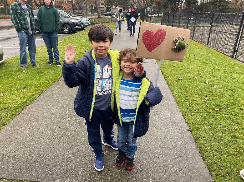 Turtles tagged with swastikas prompt rally against hate in Renton