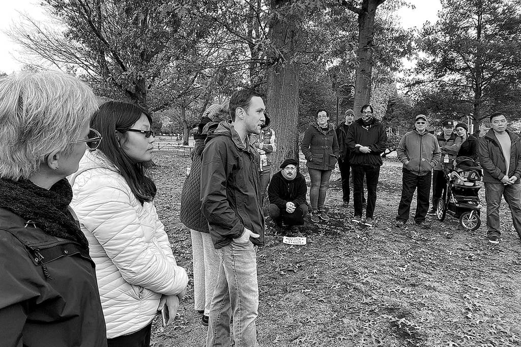 Turtles tagged with swastikas prompt rally against hate in Renton