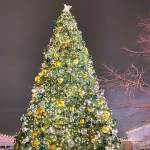 Holiday lights glow in Renton