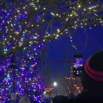 Photo by Haley Ausbun. Folks gathered to see the first glimpse of the downtown tree all lit up. Saturday, Nov. 30 at Piazza Park.