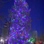 Photo by Haley Ausbun. Folks gathered to see the first glimpse of the downtown tree all lit up. Saturday, Nov. 30 at Piazza Park.