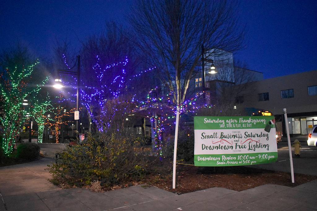 Photo by Haley Ausbun. Lit trees at the Piazza Park on Nov. 30, before the downtown tree lighting.