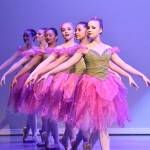 From Evergreen’s Cavalier to Broadway and back home again