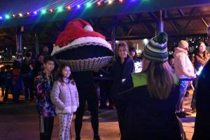 Spe-shell holiday lights featured in Renton