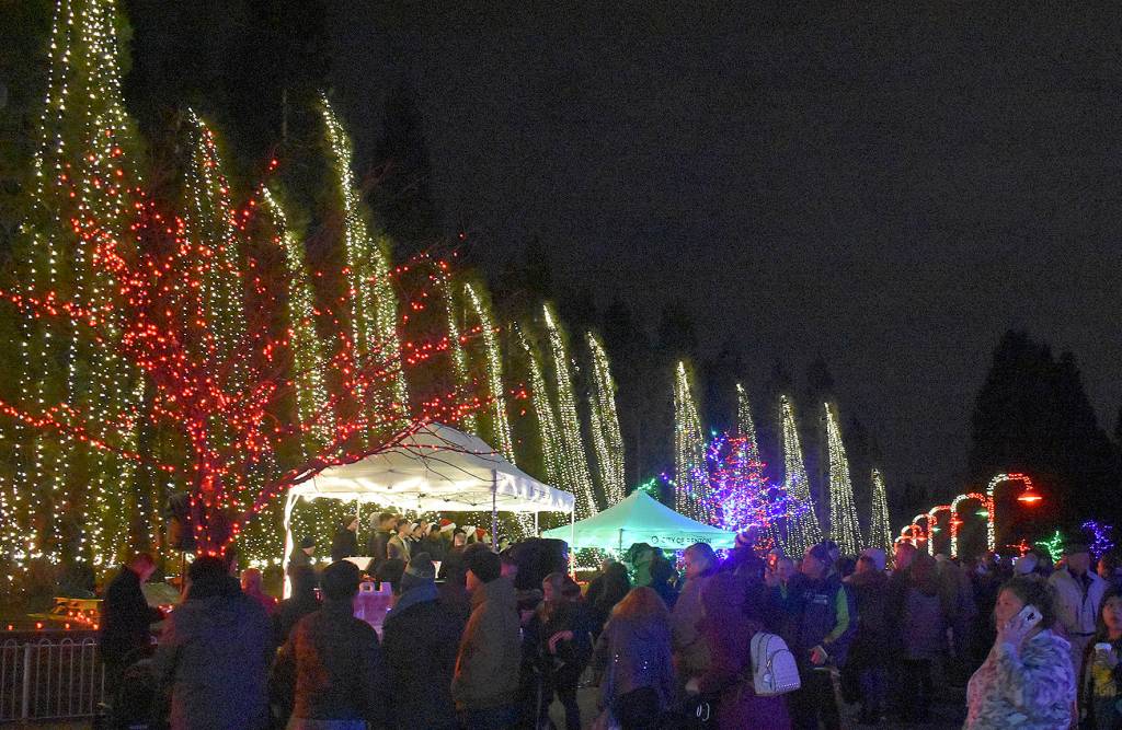 Spe-shell holiday lights featured in Renton
