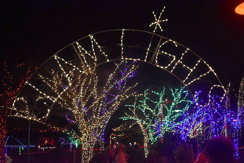 Spe-shell holiday lights featured in Renton
