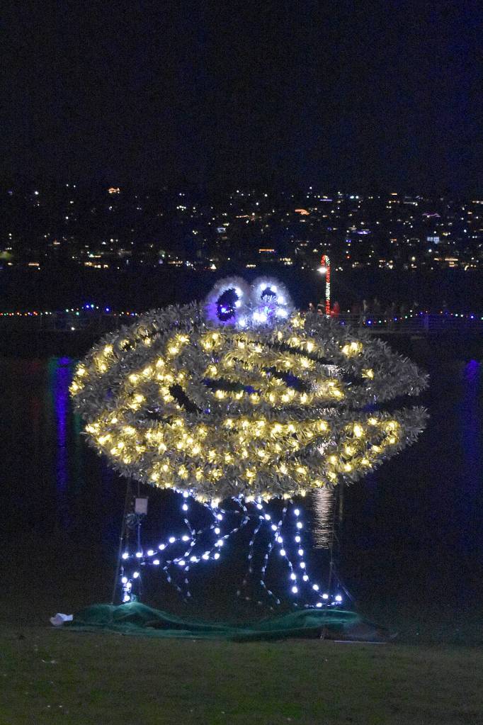 Spe-shell holiday lights featured in Renton
