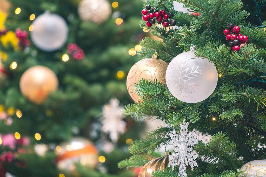 Start 2020 green by recycling holiday lights and trees