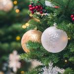 Start 2020 green by recycling holiday lights and trees