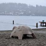 PHOTO BY HALEY AUSBUN