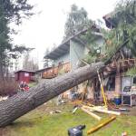 Puget Sound Fire District rescuers work to remove a tree that pinned a man in an apartment complex in unincorporated Maple Valley on Sunday, Feb. 23, 2020.                                 Photo courtesy of Puget Sound Fire.