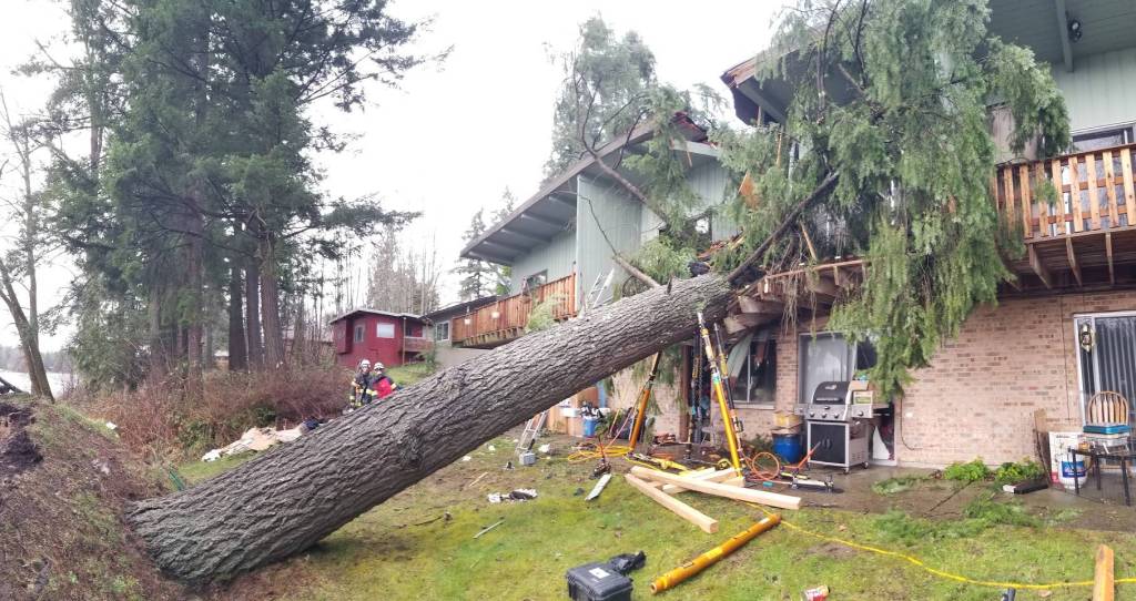 Puget Sound Fire District rescuers work to remove a tree that pinned a man in an apartment complex in unincorporated Maple Valley on Sunday, Feb. 23, 2020.                                 Photo courtesy of Puget Sound Fire.