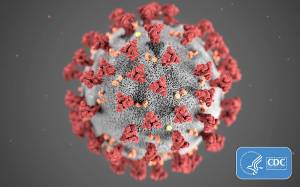 A second person dies from Covid-19 in King County