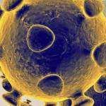 King County cancels most in-person meetings, moves to Skype