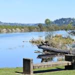 Photo by Haley Ausbun                                From the Reporter archives. Cedar River Park Trail on a sunny spring day, May 2019.
