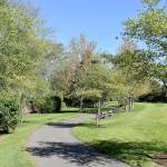Photo by Haley Ausbun                                From the Reporter archives. Cedar River Park Trail on a sunny spring day, May 2019.