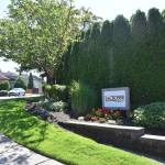 In the LaCrosse neighborhood in upper Kennydale, the process to get a 20 mph speed limit is almost complete. Haley Ausbun/Staff photo.