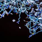 A close look at a coronavirus model created by Dong Si and his students at UW Bothell. (Olivia Vanni / The Herald)