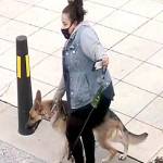 Suspected owner of the dog who attacked (Photo Credit: Renton Police Department)