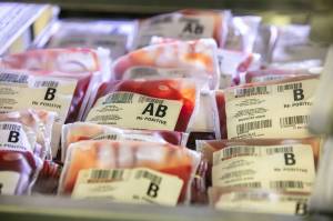 Blood donations (photo credit: Bloodworks Northwest)