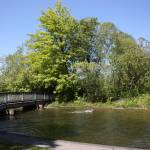 Renton's Bird Island at Gene Coulon Park (photo credit: Cameron Sheppard)