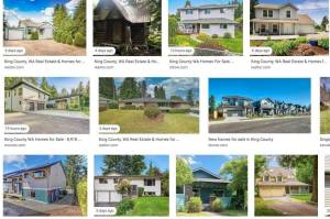 Screenshot from Google Images