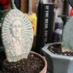 A cactus that Codd has etched his logo into with a laser cutter (photo by Cameron Sheppard)