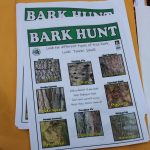 Children were given Bark Hunt flyers to help identify and experience the different bark in the Lake Wilderness Arboretum. Photo by Bailey Jo Josie/Sound Publishing.