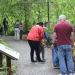 After the book readings, families broke off through the trails to experience the Bark Hunt. Photo by Bailey Jo Josie/Sound Publishing.