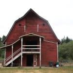 The barn on the property is actually eligible to be on the historical registry, according to Ellen. Photo by Bailey Jo Josie/Sound Publishing.