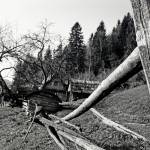 One of the photos in the exhibit show a Ukrainian man's homestead, which Davidson said was so remote that she had to ride on a 4x4 off-road vehicle to get to it. Photo courtesy of Anna Mia Davidson.