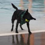 Photo by Bailey Jo Josie/Sound Publishing.