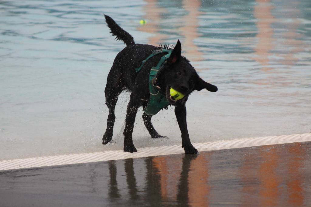 Photo by Bailey Jo Josie/Sound Publishing.