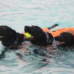 Photo by Bailey Jo Josie/Sound Publishing.