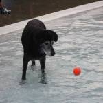 Photo by Bailey Jo Josie/Sound Publishing.