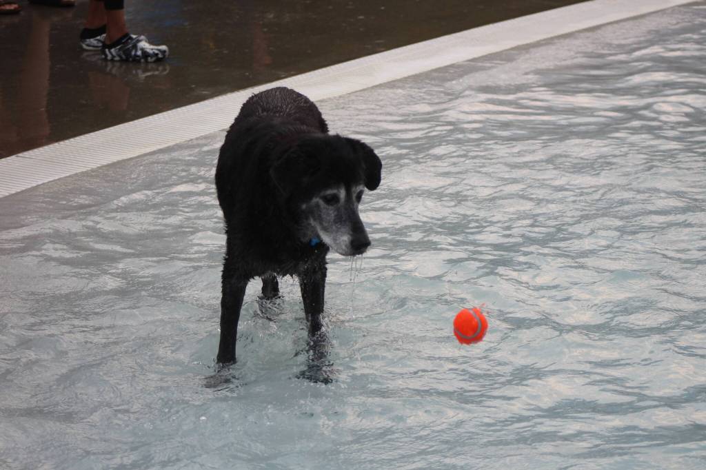 Photo by Bailey Jo Josie/Sound Publishing.