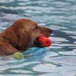 Photo by Bailey Jo Josie/Sound Publishing.