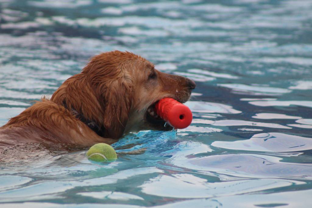 Photo by Bailey Jo Josie/Sound Publishing.