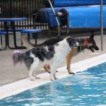 Photo by Bailey Jo Josie/Sound Publishing.