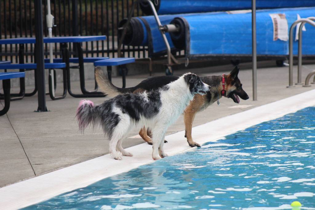 Photo by Bailey Jo Josie/Sound Publishing.