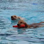 Photo by Bailey Jo Josie/Sound Publishing.