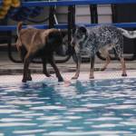 Photo by Bailey Jo Josie/Sound Publishing.