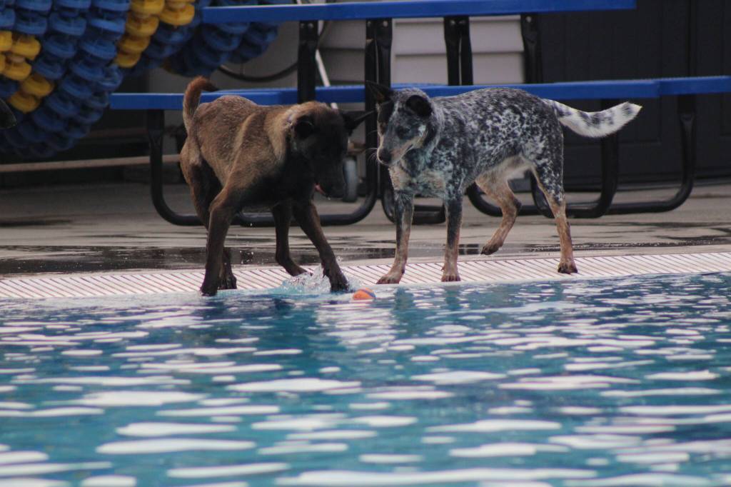 Photo by Bailey Jo Josie/Sound Publishing.