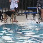 Photo by Bailey Jo Josie/Sound Publishing.